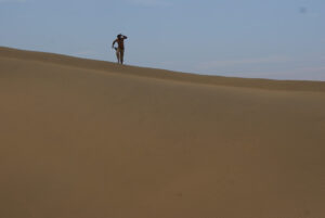 The dunes are soft, brown and steep