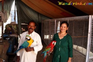 Tarak, Nazma and macaws