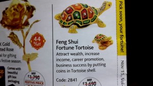 Fortune tortoises in the flight mag - the airlines should buy some 